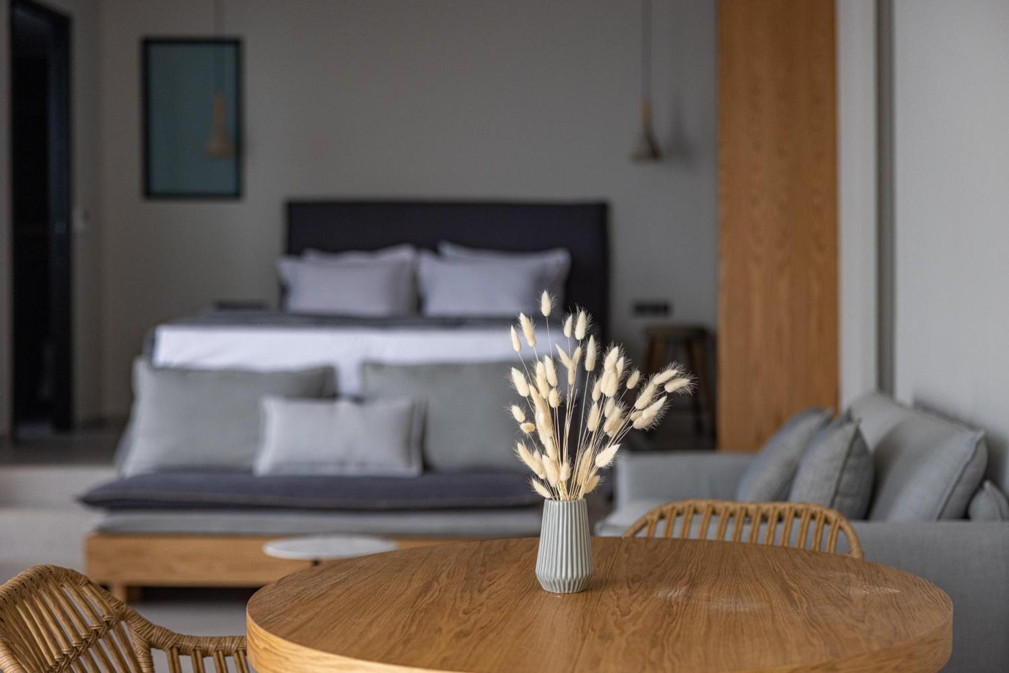 Anadeo Villas & Suites Exanthia 外观 照片